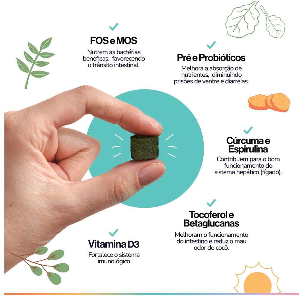 Suplemento Alimentar Buddy Nutrition Digestão & Flora Intestinal para Cães - 168 g