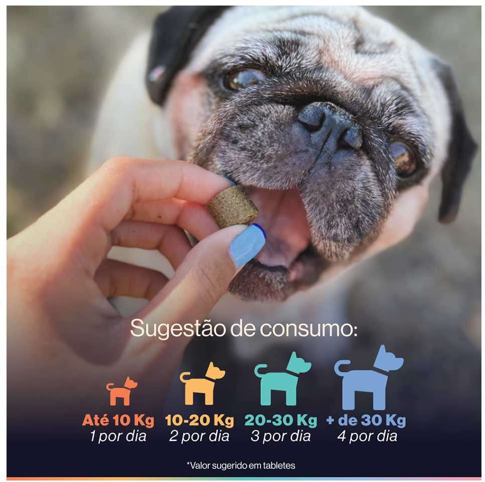 Suplemento Alimentar Buddy Nutrition Digestão & Flora Intestinal para Cães - 168 g