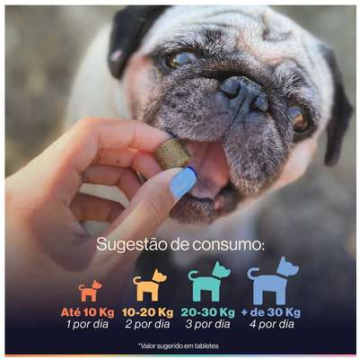 Suplemento Alimentar Buddy Nutrition Digestão & Flora Intestinal para Cães