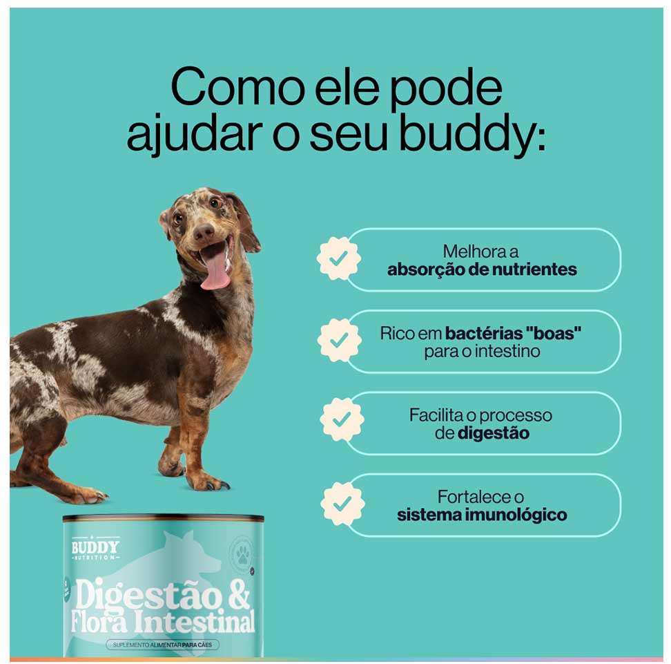 Suplemento Alimentar Buddy Nutrition Digestão & Flora Intestinal para Cães - 168 g