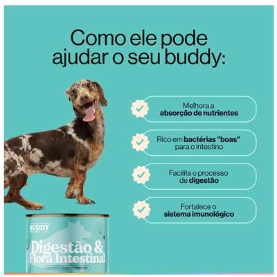 Suplemento Alimentar Buddy Nutrition Digestão & Flora Intestinal para Cães