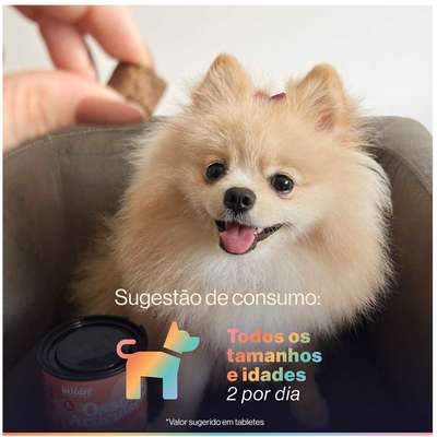 Suplemento Alimentar Buddy Nutrition Ossos & Articulações para Cães