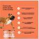 Suplemento Alimentar Buddy Nutrition Ossos & Articulações para Cães