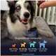 Suplemento Alimentar Buddy Nutrition Multifuncional 8 em 1 para Cães