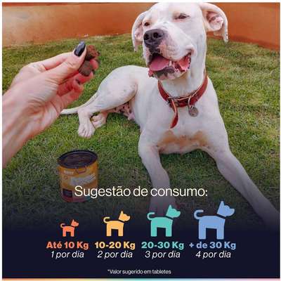 Suplemento Alimentar Buddy Nutrition Pelagem & Coceira para Cães