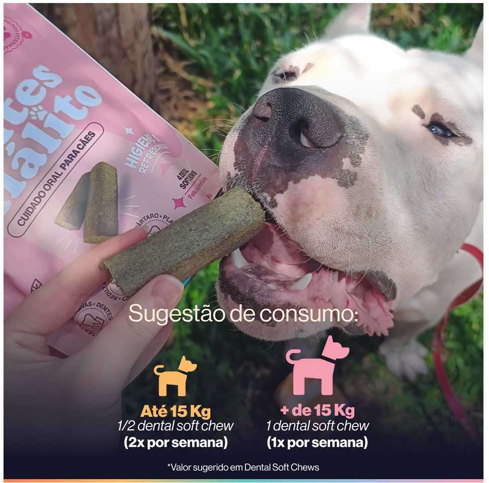 Suplemento Alimentar Buddy Nutrition Dentes & Hálito para Cães - 168 g