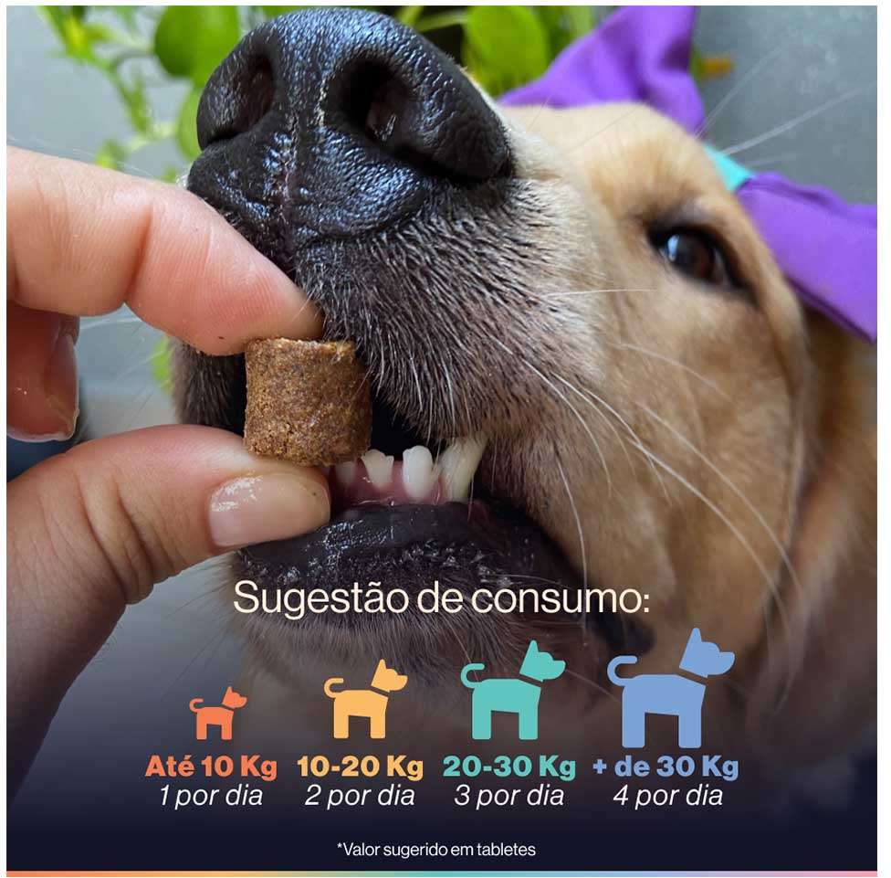 Suplemento Alimentar Buddy Nutrition Tranquilo & Calmo para Cães - 168 g