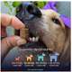 Suplemento Alimentar Buddy Nutrition Tranquilo & Calmo para Cães