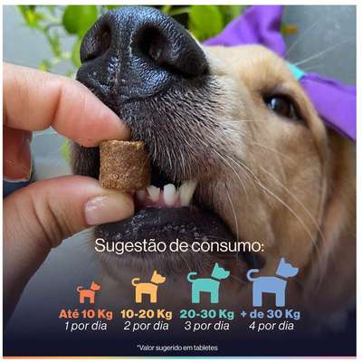 Suplemento Alimentar Buddy Nutrition Tranquilo & Calmo para Cães
