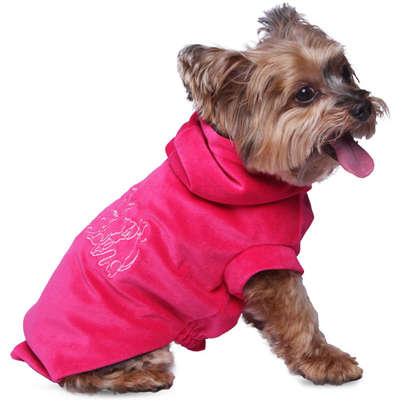 Moleton Pickorruchos Degradê Pink
