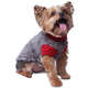 Moleton Pickorruchos Urso Felpudo Cinza
