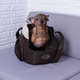 Bolsa Pickorruchos Vogue Choco