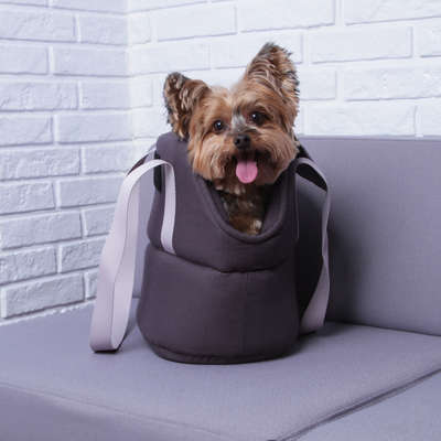 Bolsa de Transporte Meau Cinza