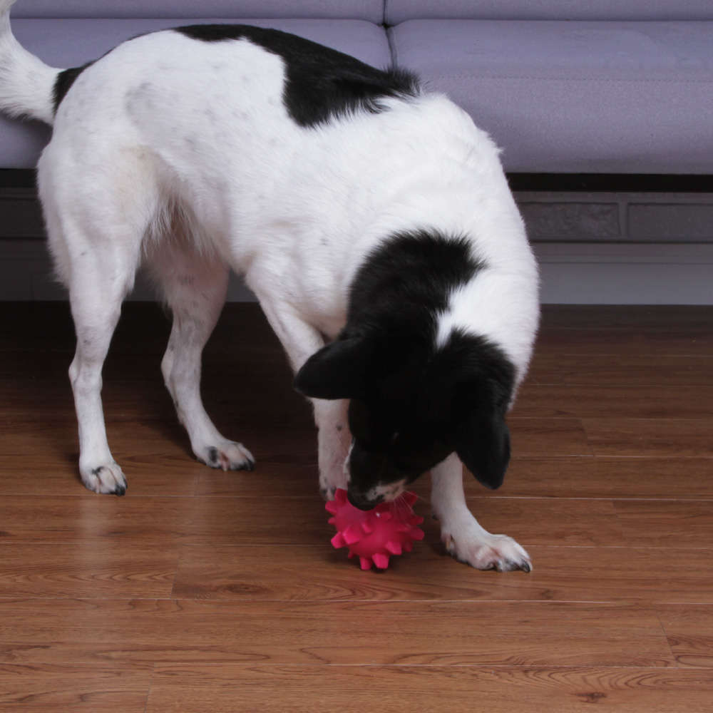 Bolinha Spike Kroco Rosa para Cães - Tam. Único