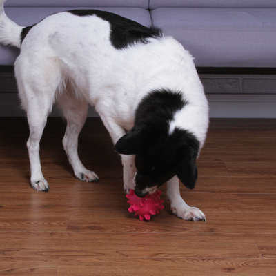Bolinha Spike Kroco Rosa para Cães