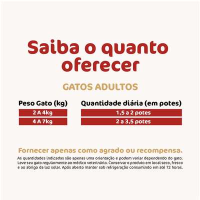 Ração Úmida Everest Gourmet Carne com Arroz e Couve para Cães