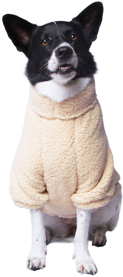 Moletom Meau Cacharrel Alpaca - Tam. 06