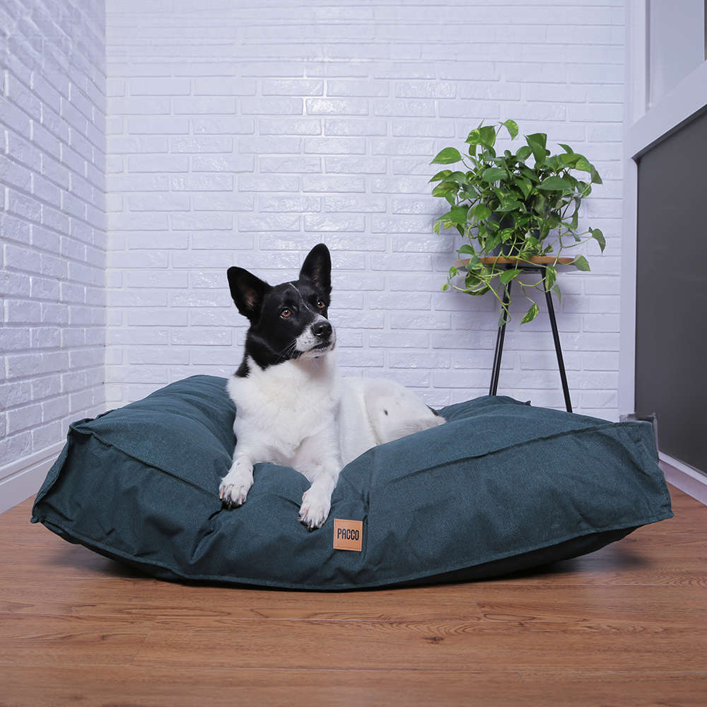 Cama Pacco Puppy Futon Ecotec Verde para Cães - Tam. G
