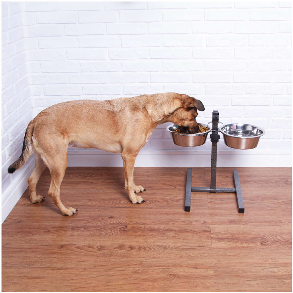 Comedouro e Bebedouro Meau Antiformiga para Cães e Gatos - 1500 mL