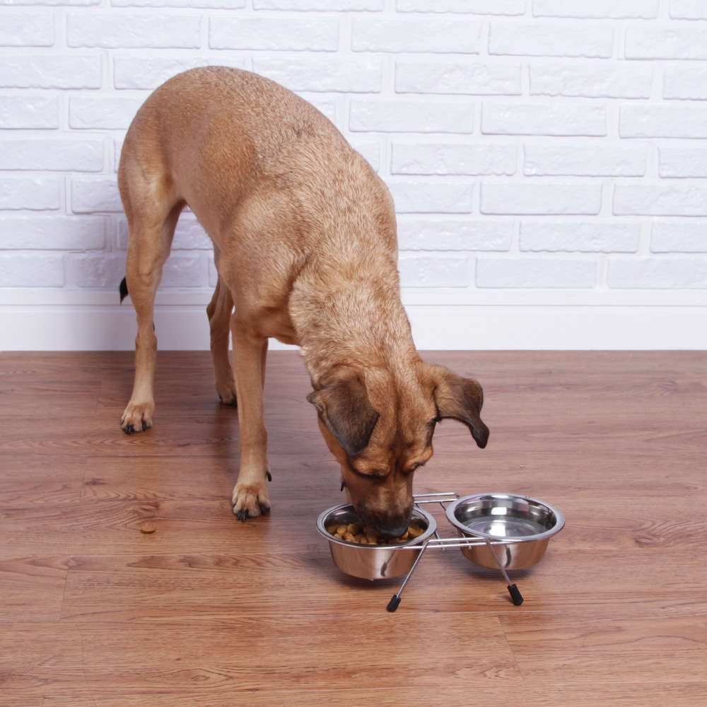 Comedouro e Bebedouro Meau Duplo Inox para Cães e Gatos - 325 mL
