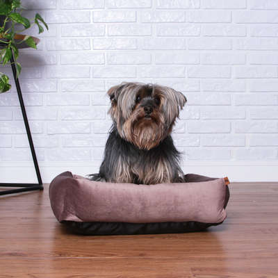 Cama Pickorruchos Top Confort Lobo