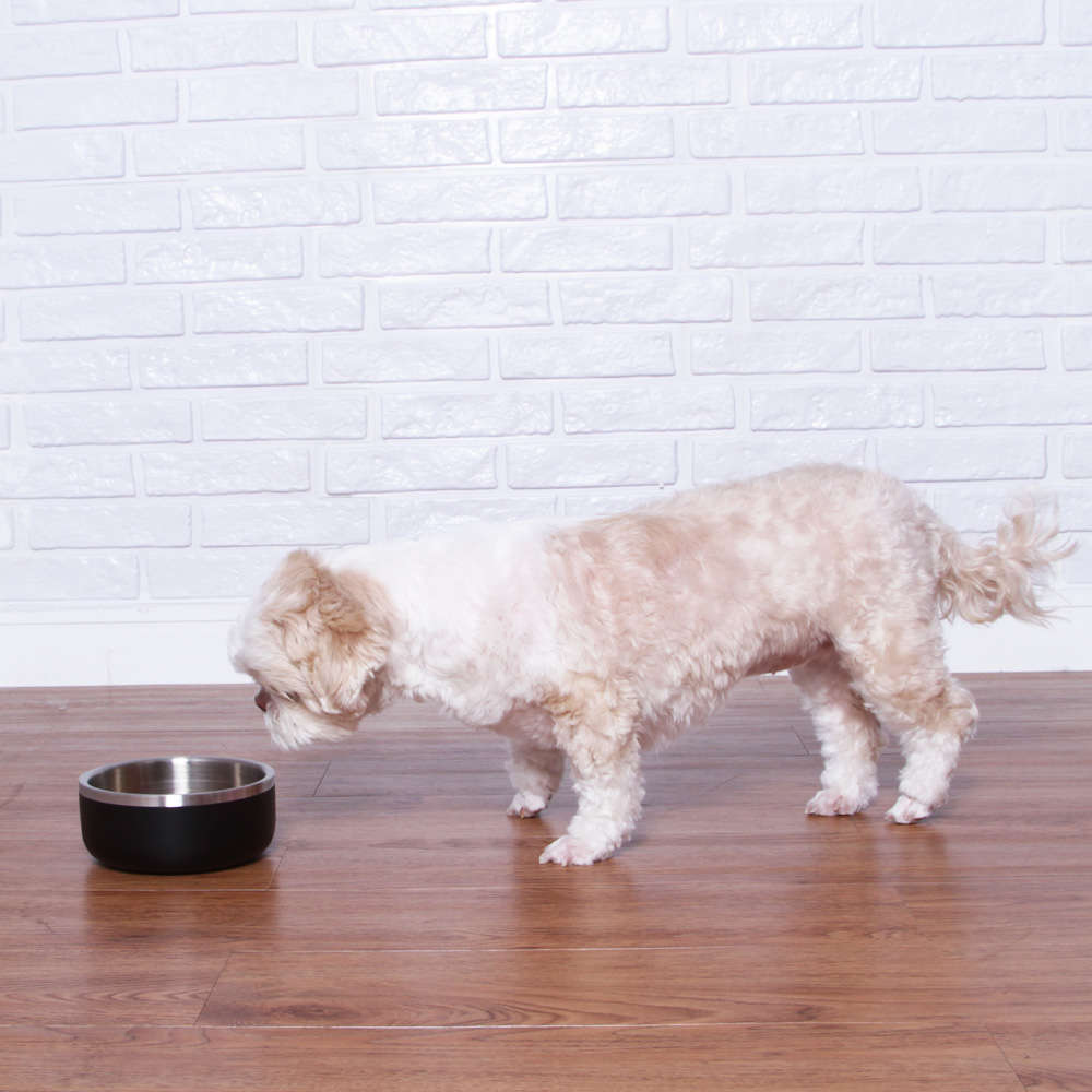 Bowl Future Pet para Cães e Gatos - 750 mL