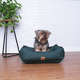 Cama Pacco Puppy Impermeável Ecotec Lisa Verde para Cães