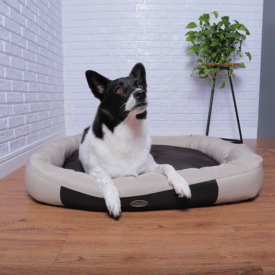 Cama Pickorruchos Vogue Avelã - Tam. GG