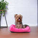 Cama Pickorruchos Top Confort Rosa
