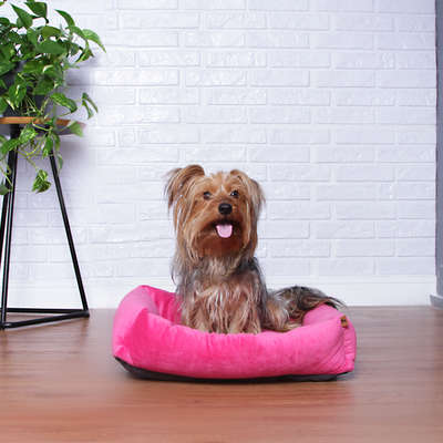 Cama Pickorruchos Top Confort Rosa