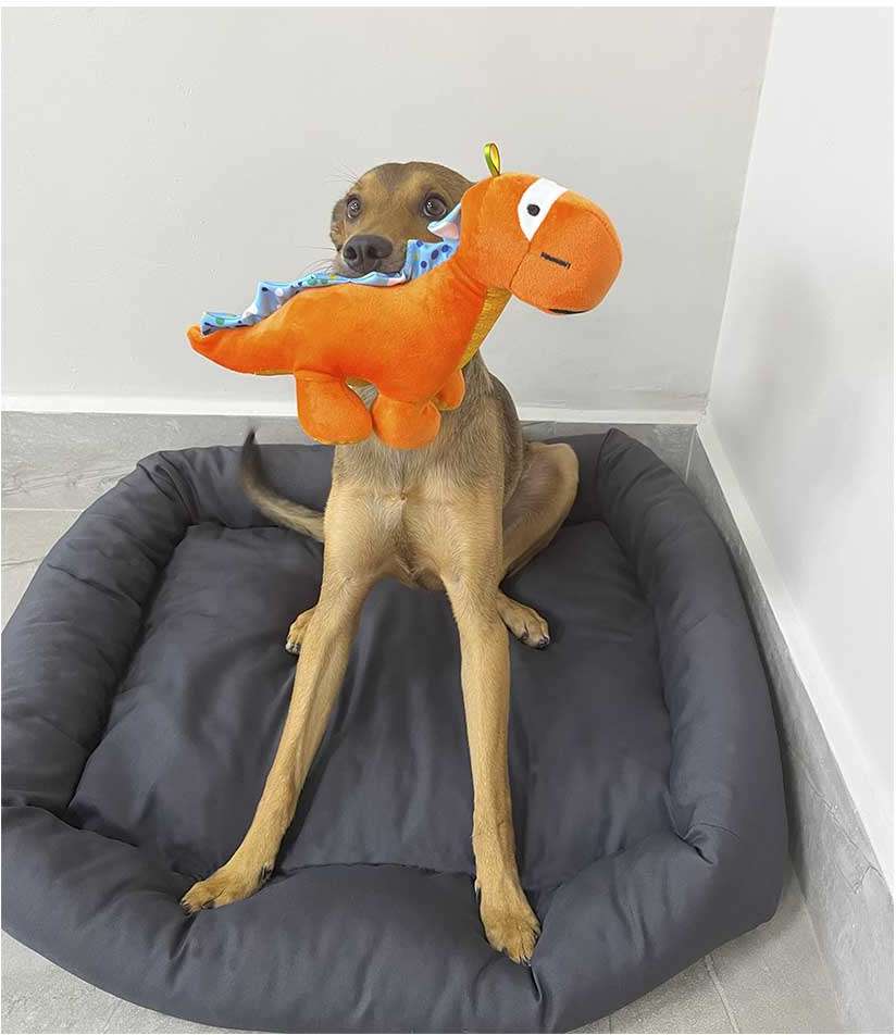 Brinquedo Pelúcia Dino Rex - Tam. P