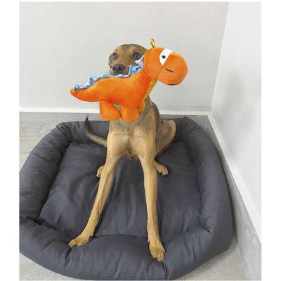 Brinquedo Pelúcia Dino Rex