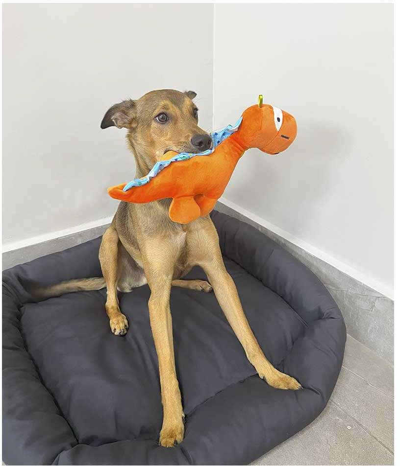 Brinquedo Pelúcia Dino Rex - Tam. P