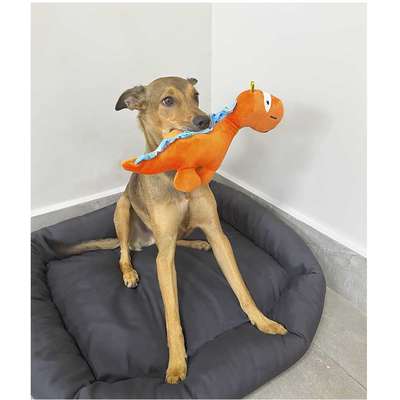 Brinquedo Pelúcia Dino Rex