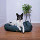 Cama Pacco Puppy Impermeável Ecotec Lisa Verde para Cães