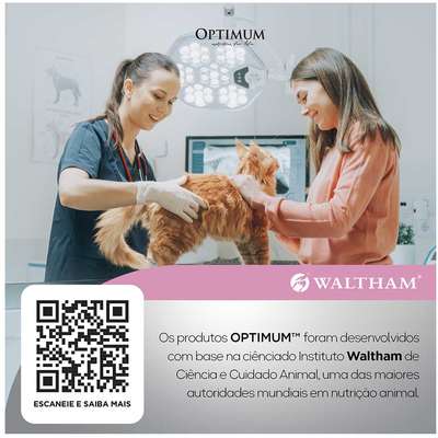 Ração Optimum Frango para Gatos Filhotes 2 a 12 meses