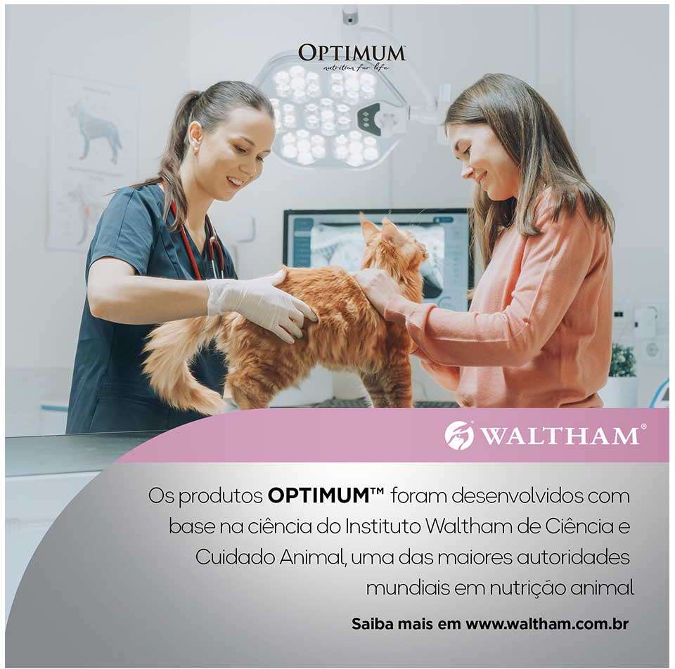 Ração Úmida Optimum Sachê para Gatos Filhotes Frango - 85 g - 60 Unidades