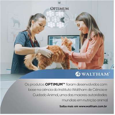 Ração Úmida Optimum Sachê para Gatos Adultos Manutenção de Peso Frango