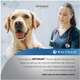 Ração Úmida Optimum Sachê para Cães Adultos Frango