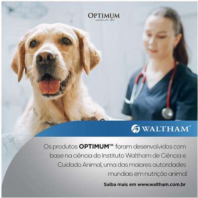 Ração Úmida Optimum Sachê para Cães Adultos Frango