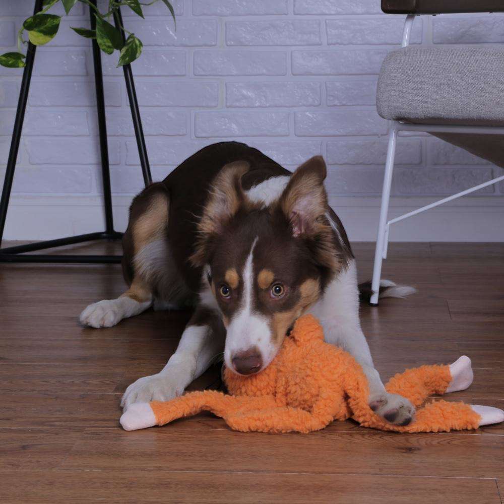 Brinquedo Jambo Mordedor Pelúcia Macaco Kelev Laranja - Tam. M