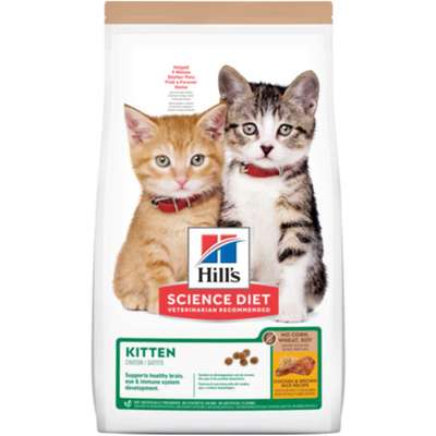 Ração Seca Hill's Science Diet Sem Milho, Trigo ou Soja para Gatos Filhotes