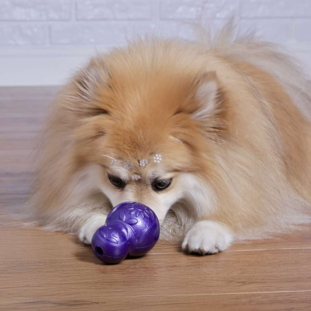 Brinquedo Mordedor Pet Games Bonequinha Lilás - Tam. P