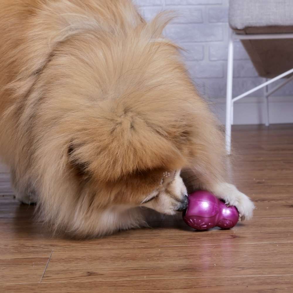Brinquedo Mordedor Pet Games Bonequinha Rosa - Tam. P