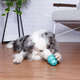 Brinquedo Mordedor Pet Games Monstrinho Verde