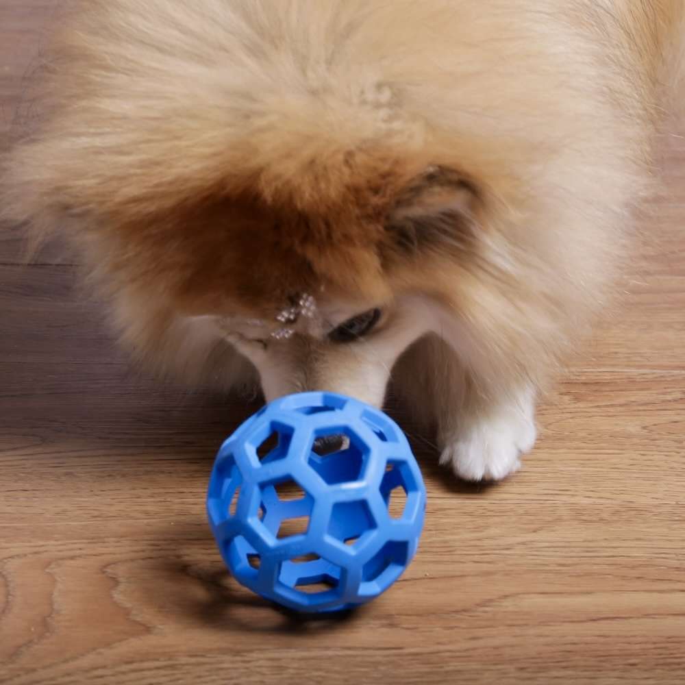 Brinquedo JW Holee Roller Azul - Tam. P