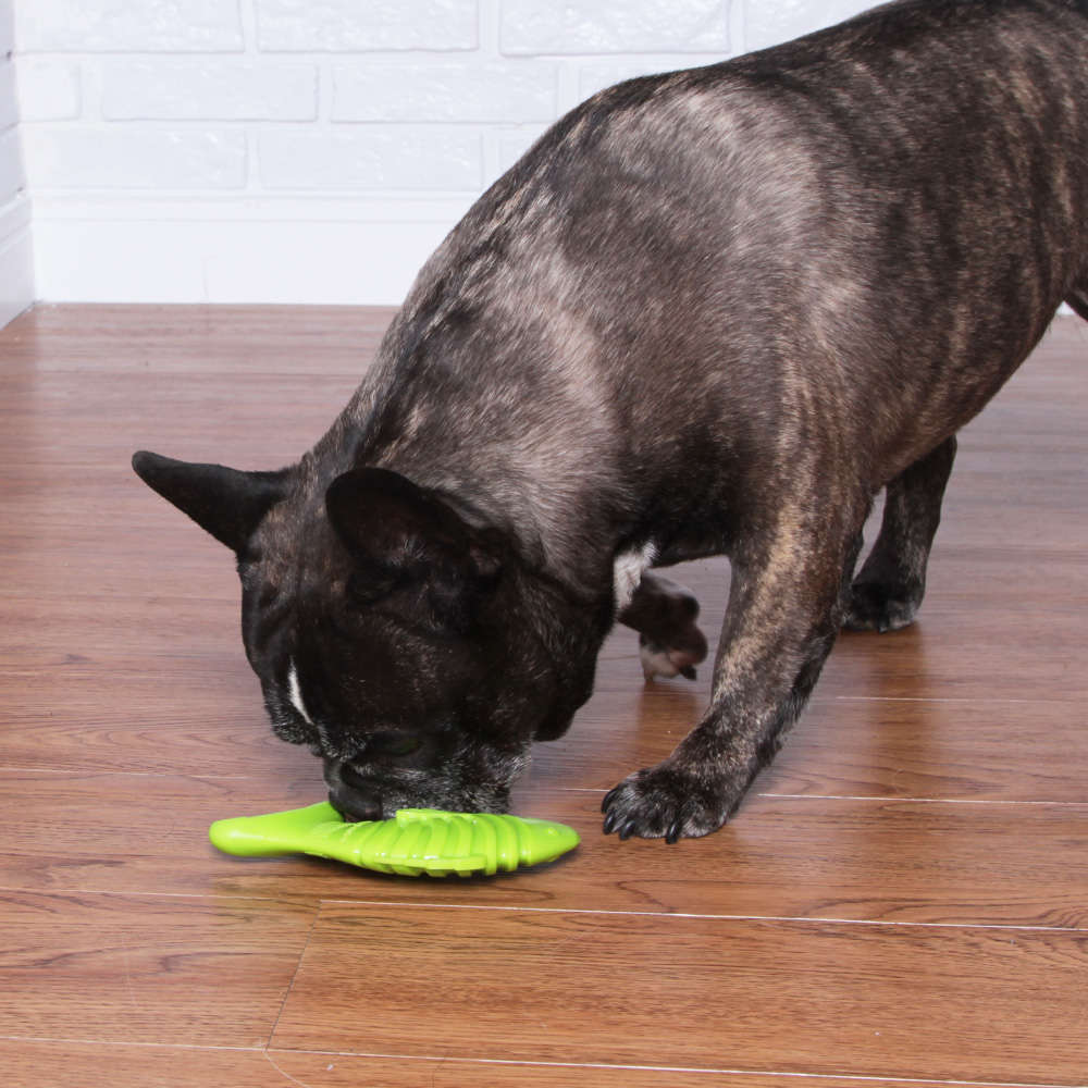Brinquedo Buddy Toys Peixe Nylon - Tam. Único