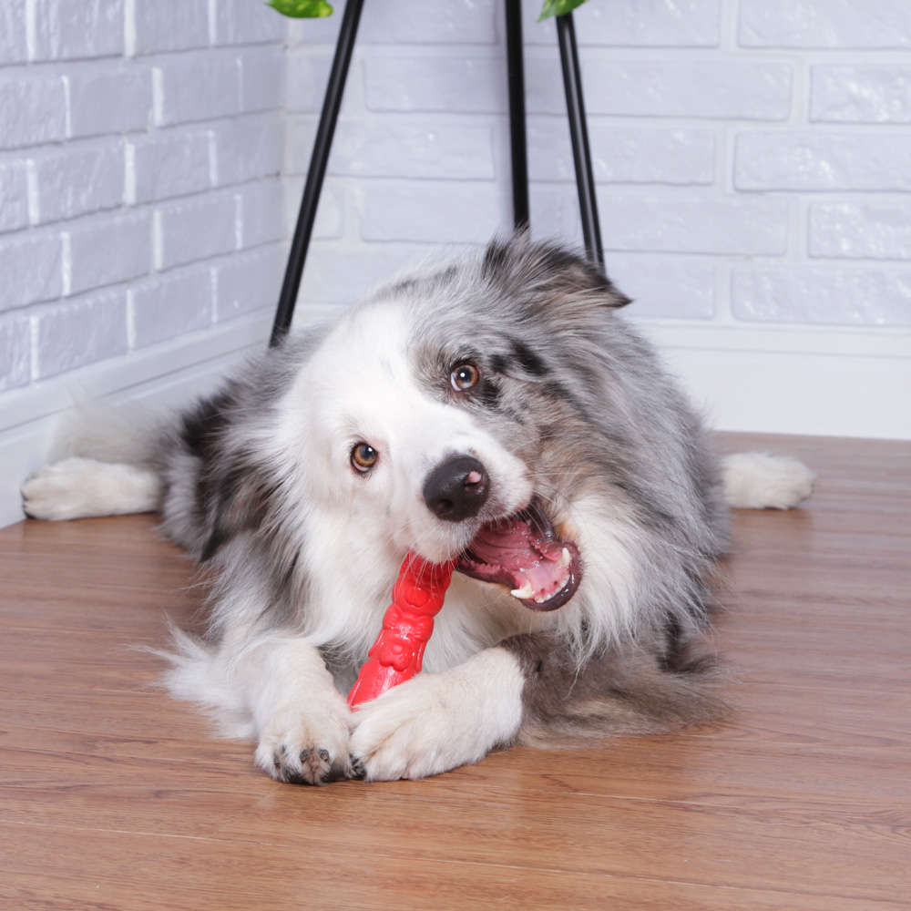 Brinquedo Pet Games Mordedor Totem Nylon Vermelho - Tam. M