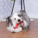 Brinquedo Pet Games Mordedor Totem Nylon - Vermelho
