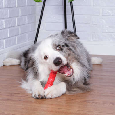 Brinquedo Pet Games Mordedor Totem Nylon - Vermelho